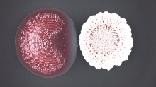 CIENCIA Y SALUD. Científicos del CONICET Rosario estudian efectos poco conocidos de los antibióticos sobre las comunidades bacterianas